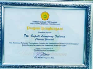 Nanang Ermanto Dapat Penghargaan Dari Kementerian Pertanian Direktorat Perkebunan
