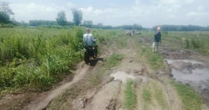 Jalan Usaha Tani di Candipuro Rusak dan Butuh Perhatian, Warga: Dalane Ajur Memet Koyo Kubangan Ternak