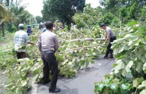Gerak Cepat, Anggota Polsek Penengahan Bersihkan Pohon Tumbang di Jalinsum