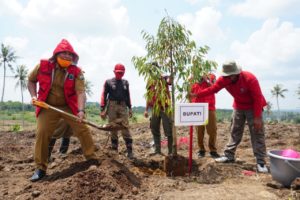 Diproyeksi Jadi Kebun Edukatif, Nanang Tanam Ratusan Pohon Durian dan Alpukat