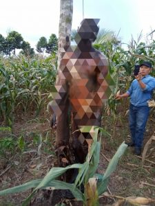 Mayat Tergantung Gegerkan Warga Sidomulyo Lampung Selatan