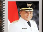 Nanang Ermanto, Kades, Anggota Dewan, Plt Bupati (Bagian 1)