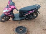 Gegara Roda Gila, Warga Desa Beringin Kencana Masuk Bui