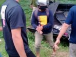 Pic-up Kecelakaan di Tanjungbintang Tewaskan Tiga Orang, Berikut Kronologi dan Data Korban