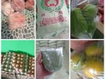 Di Lamsel, Suplier Sembako Ditengarai Ambil Double Laba