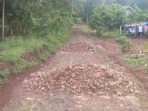 Puluhan Tahun Jalan Tak Tersentuh Pembangunan, Warga Budidaya Lamsel Pertanyakan DD