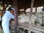 PT. Juang Jaya Abdi Alam Dukung Program Pemerintah, Cegah Wabah Virus LSD