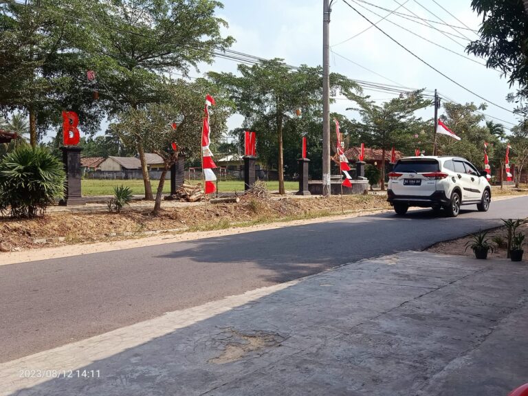 Alun-alun Desa Bumijaya Kecamatan Candipuro Kabupaten Lampung Selatan