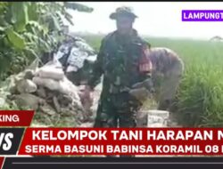 Babinsa Bersama Pemdes Mandalasari dan Masyarakat Bangun Jembatan Secara Swadaya