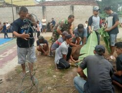 Babinsa Hadir Monitoring Penyembelihan Hewan Qurban di Wilayah Binaan