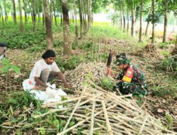 Komsos Cerminan Kepedulian Terhadap Warga Binaan, Babinsa Sambangi Petani di Wilayah