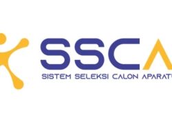 Hingga 4 Oktober 2024, 1.638 Peserta Daftar Seleksi PPPK Lampung Selatan, Baru 60 Pendaftar Submit di SSCASN
