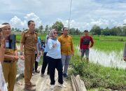 Ketua Komisi III DPRD Lampung Selatan Tindaklanjuti Keluhan Warga Desa Kalirejo