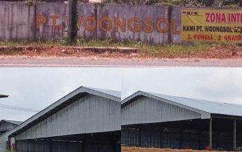 20250920_222655 20250920_222655