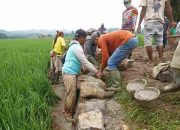 Talud TMMD ke-127 Kodim 0421/LS Perkuat Ketahanan Infrastruktur Desa