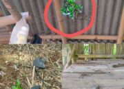 Batu Hantam Pondok Warga, DPRD Minta Aktivitas Blasting PT Bima Mix Dievaluasi
