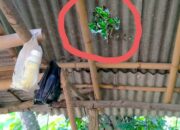 Blasting Dekat Lahan Warga, PT Bima Mix Diduga Langgar Standar Keselamatan