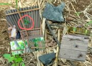 Camat Katibung Turun Tangan! Polemik Blasting PT Bima Mix Segera Dibahas, Warga Tunggu Keputusan Tegas