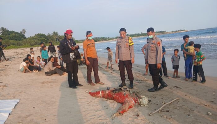 Mayat Tanpa Identitas Ditemukan Mengapung di Pesisir Pantai Keramat Sidomulyo